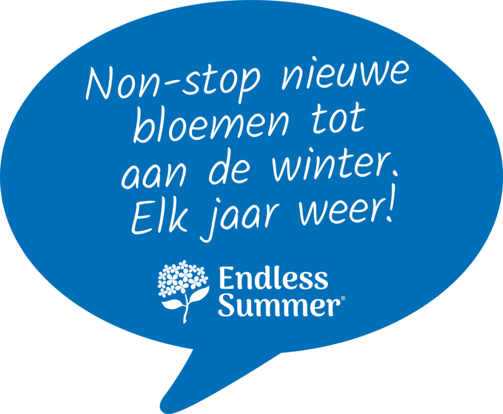 Tekstwolkje met tekst en Endless Summer logo